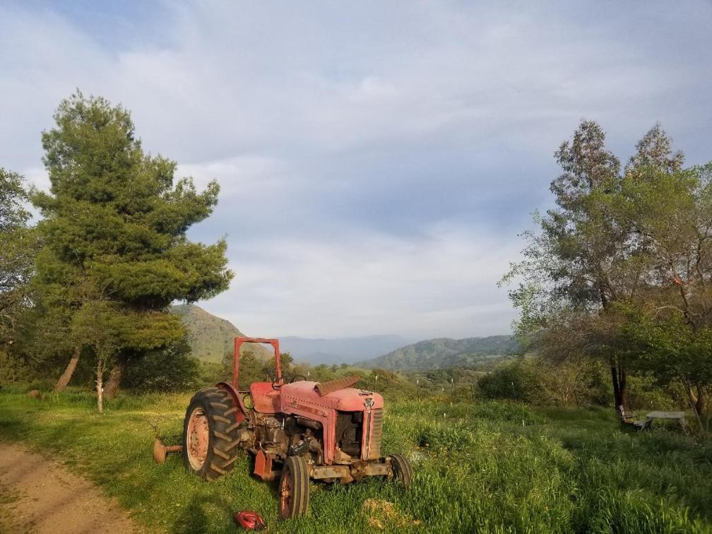 St. Anna'S House ξενώνας Yokuts Valley  Εξωτερικό φωτογραφία